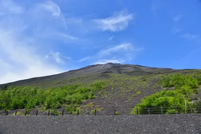 DSC_3615 (Large).JPG